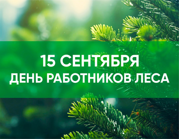 В третье воскресенье сентября в Республике Беларусь отмечается День работников леса