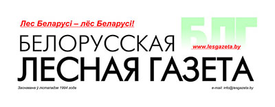 Белорусская лесная газета