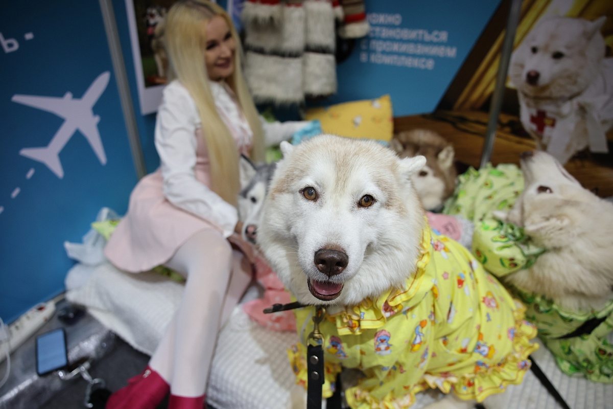 В Минске открылась XXVIII Международная выставка-ярмарка туристических услуг «ОТДЫХ-2026»