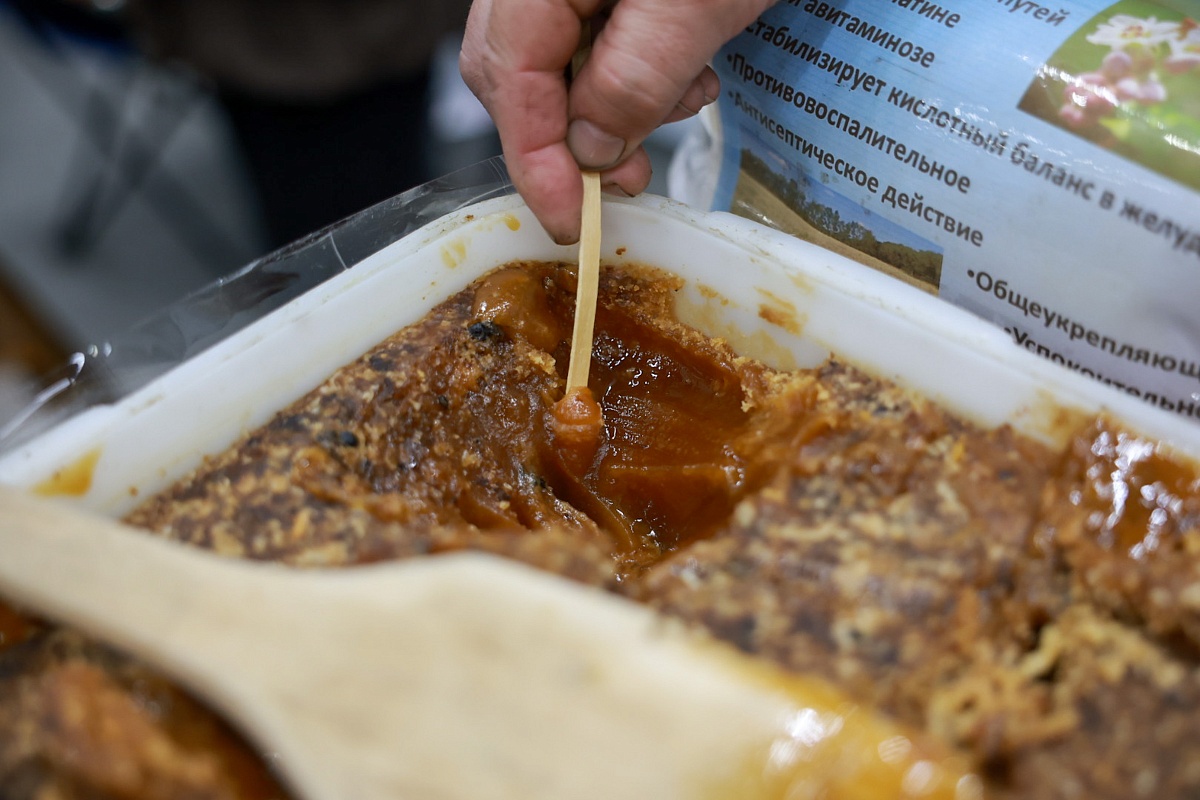 Выставка «ОТДЫХ-2026» подтвердила статус крупнейшей туристической площадки страны