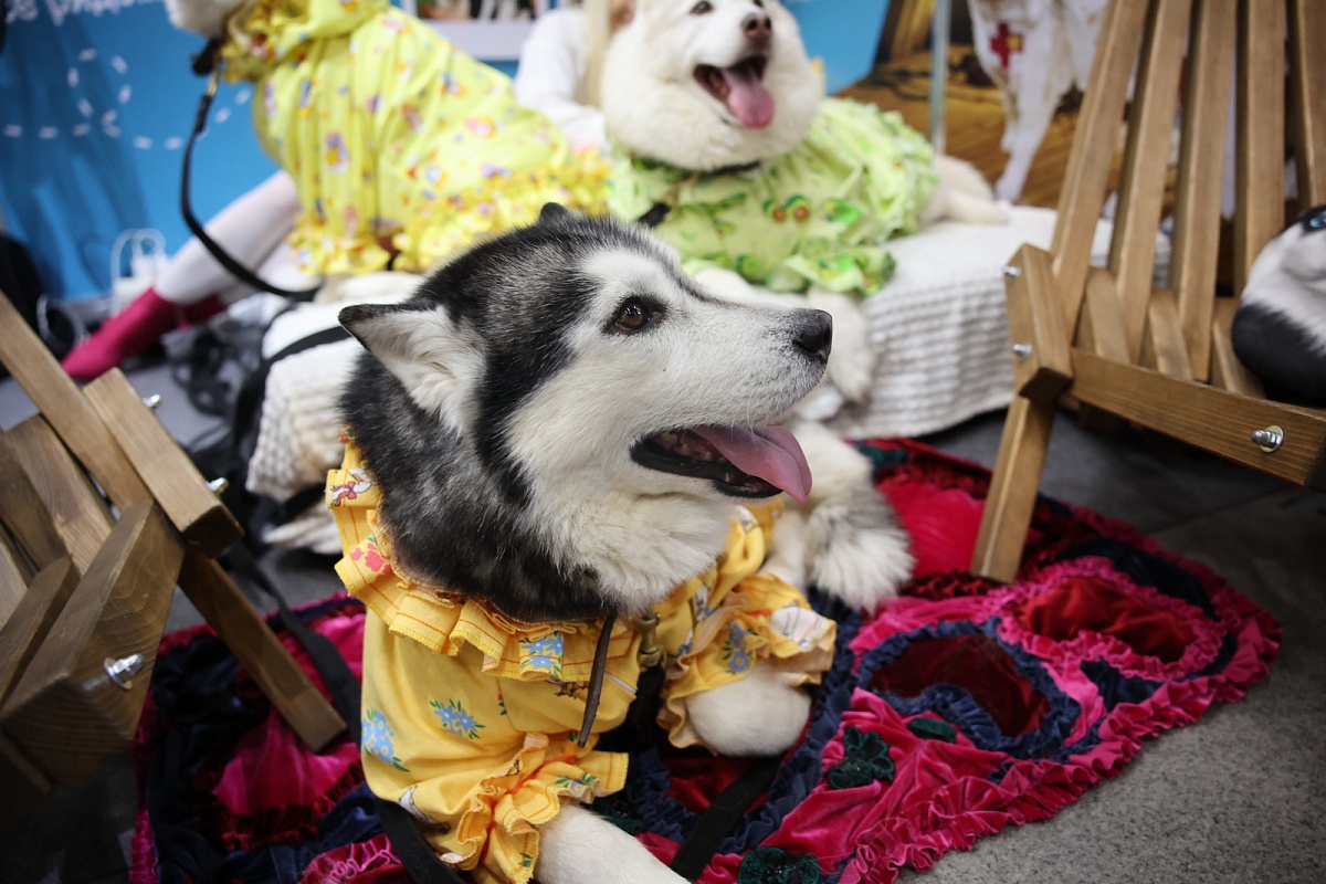 В Минске открылась XXVIII Международная выставка-ярмарка туристических услуг «ОТДЫХ-2026»